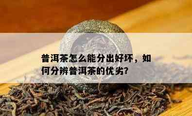 普洱茶怎么能分出好坏，如何分辨普洱茶的优劣？