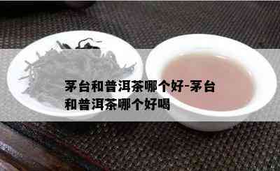 茅台和普洱茶哪个好-茅台和普洱茶哪个好喝