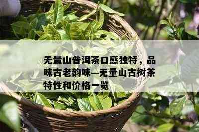 无量山普洱茶口感独特，品味古老韵味—无量山古树茶特性和价格一览