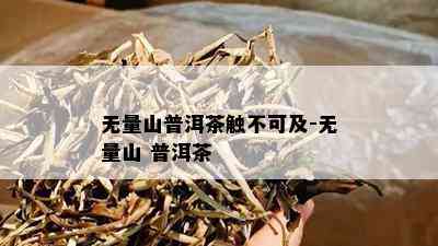 无量山普洱茶触不可及-无量山 普洱茶