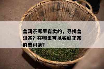 普洱茶哪里有卖的，寻找普洱茶？在哪里可以买到正宗的普洱茶？