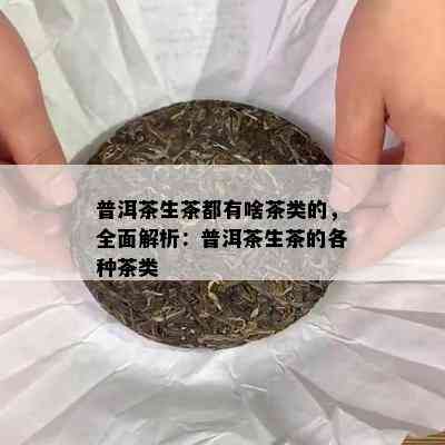 普洱茶生茶都有啥茶类的，全面解析：普洱茶生茶的各种茶类