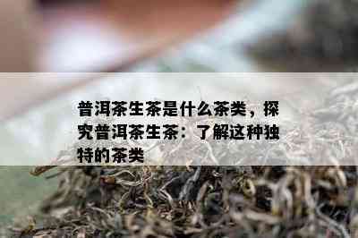 普洱茶生茶是什么茶类，探究普洱茶生茶：了解这种独特的茶类