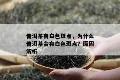 普洱茶有白色斑点，为什么普洱茶会有白色斑点？原因解析