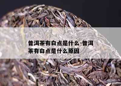 普洱茶有白点是什么-普洱茶有白点是什么原因