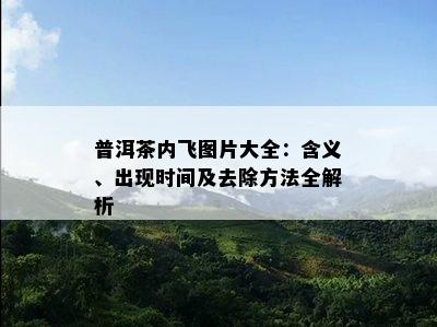 普洱茶内飞图片大全：含义、出现时间及去除方法全解析