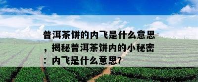 普洱茶饼的内飞是什么意思，揭秘普洱茶饼内的小秘密：内飞是什么意思？