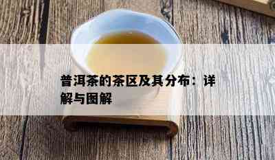 普洱茶的茶区及其分布：详解与图解