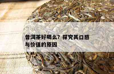 普洱茶好喝么？探究其口感与价值的原因