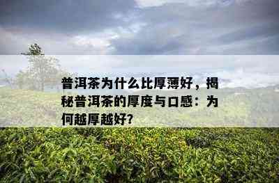 普洱茶为什么比厚薄好，揭秘普洱茶的厚度与口感：为何越厚越好？