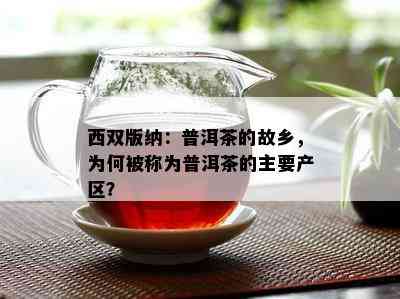 西双版纳：普洱茶的故乡，为何被称为普洱茶的主要产区？