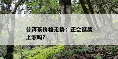 普洱茶价格走势：还会继续上涨吗？