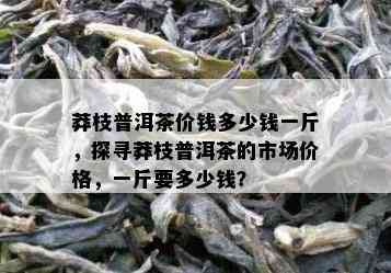 莽枝普洱茶价钱多少钱一斤，探寻莽枝普洱茶的市场价格，一斤要多少钱？