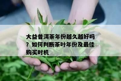 大益普洱茶年份越久越好吗？如何判断茶叶年份及更佳购买时机