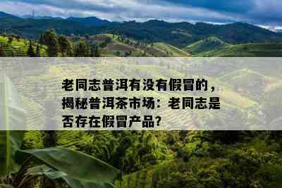 老同志普洱有没有假冒的，揭秘普洱茶市场：老同志是否存在假冒产品？