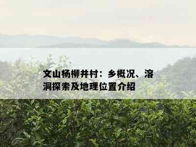 文山杨柳井村：乡概况、溶洞探索及地理位置介绍