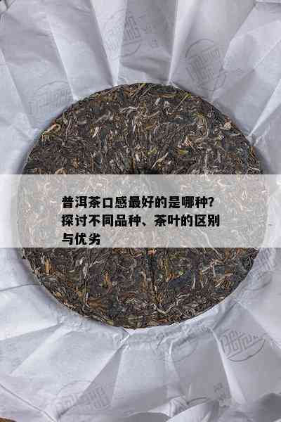 普洱茶口感更好的是哪种？探讨不同品种、茶叶的区别与优劣