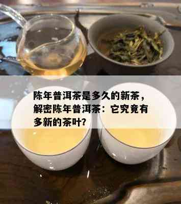 陈年普洱茶是多久的新茶，解密陈年普洱茶：它究竟有多新的茶叶？