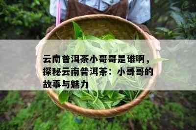 云南普洱茶小哥哥是谁啊，探秘云南普洱茶：小哥哥的故事与魅力