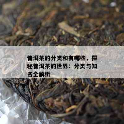 普洱茶的分类和有哪些，探秘普洱茶的世界：分类与知名全解析