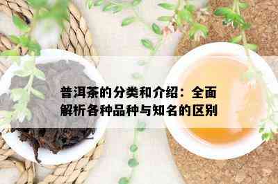 普洱茶的分类和介绍：全面解析各种品种与知名的区别