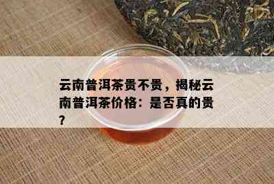 云南普洱茶贵不贵，揭秘云南普洱茶价格：是否真的贵？