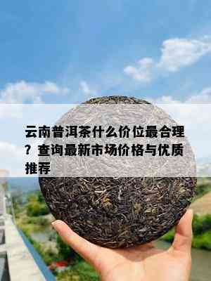 云南普洱茶什么价位最合理？查询最新市场价格与优质推荐