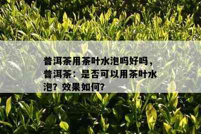 普洱茶用茶叶水泡吗好吗，普洱茶：是否可以用茶叶水泡？效果如何？