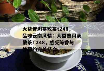 大益普洱茶散茶t248，品味云南风情：大益普洱茶散茶T248，感受陈香与甘醇的完美结合