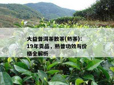 大益普洱茶散茶(熟茶)：19年贡品，熟普功效与价格全解析