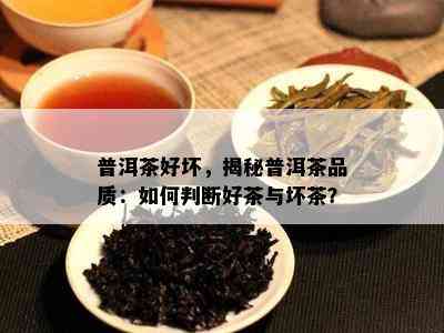 普洱茶好坏，揭秘普洱茶品质：如何判断好茶与坏茶？