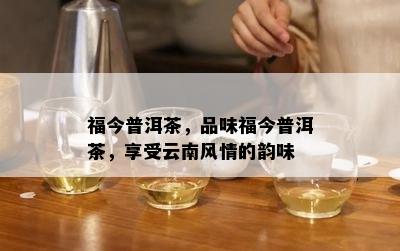 福今普洱茶，品味福今普洱茶，享受云南风情的韵味