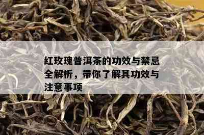 红玫瑰普洱茶的功效与禁忌全解析，带你了解其功效与注意事项