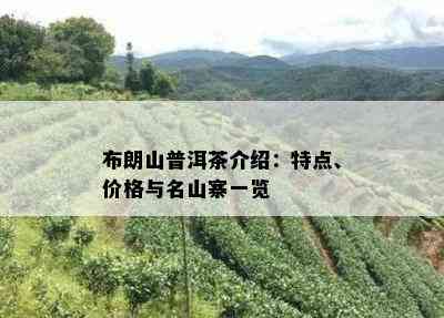 布朗山普洱茶介绍：特点、价格与名山寨一览