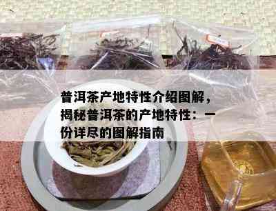 普洱茶产地特性介绍图解，揭秘普洱茶的产地特性：一份详尽的图解指南