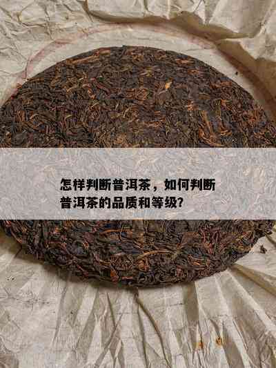 怎样判断普洱茶，如何判断普洱茶的品质和等级？