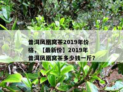 普洱凤凰窝茶2019年价格，【最新价】2019年普洱凤凰窝茶多少钱一斤？