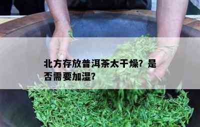 北方存放普洱茶太干燥？是否需要加湿？