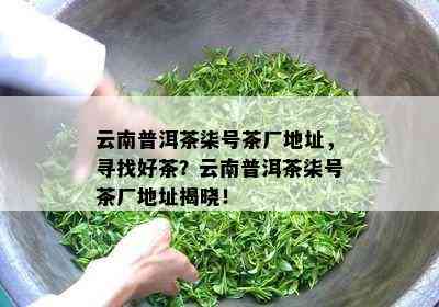 云南普洱茶柒号茶厂地址，寻找好茶？云南普洱茶柒号茶厂地址揭晓！