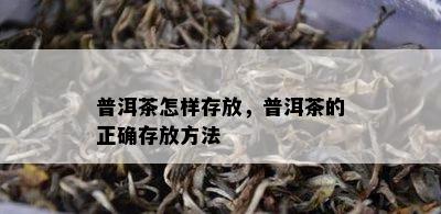 普洱茶怎样存放，普洱茶的正确存放方法