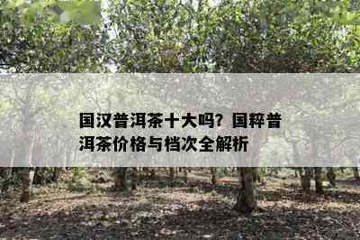 国汉普洱茶十大吗？国粹普洱茶价格与档次全解析