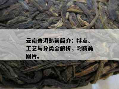 云南普洱熟茶简介：特点、工艺与分类全解析，附精美图片。