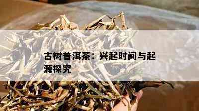 古树普洱茶：兴起时间与起源探究