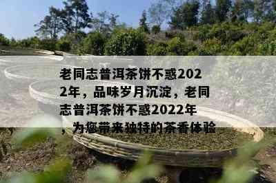 老同志普洱茶饼不惑2022年，品味岁月沉淀，老同志普洱茶饼不惑2022年，为您带来独特的茶香体验