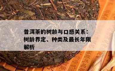 普洱茶的树龄与口感关系：树龄界定、种类及最长年限解析