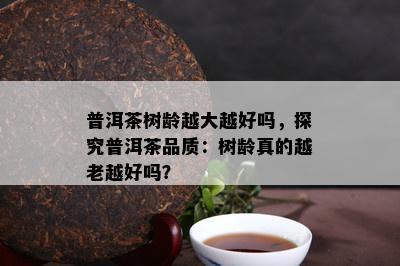 普洱茶树龄越大越好吗，探究普洱茶品质：树龄真的越老越好吗？