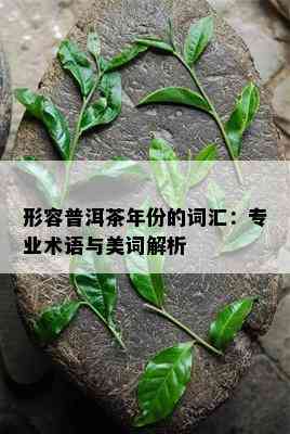 形容普洱茶年份的词汇：专业术语与美词解析