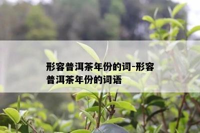 形容普洱茶年份的词-形容普洱茶年份的词语