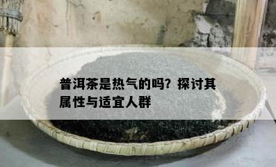 普洱茶是热气的吗？探讨其属性与适宜人群