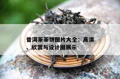 普洱茶茶饼图片大全：高清、欣赏与设计图展示